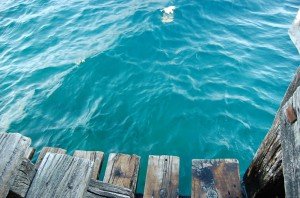 Traful Lake Traful Lake