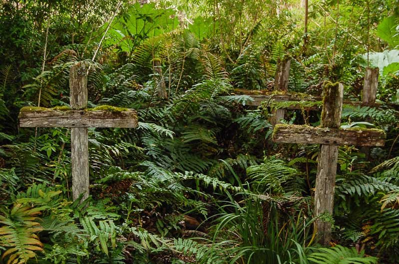 Isla de los Muertos Isla de los Muertos, Caleta Tortel