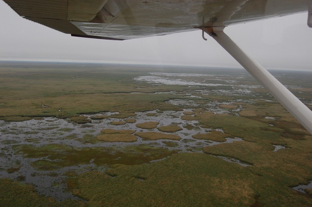 Sobrevolando los Esteros, en Rincón del Socorro