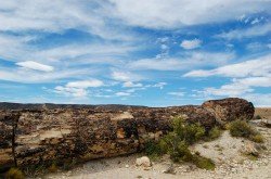 Monumento Natural Bosques Petrificados