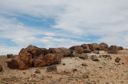 Monumento Natural Bosques Petrificados