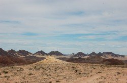 Monumento Natural Bosques Petrificados