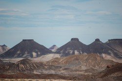 Monumento Natural Bosques Petrificados