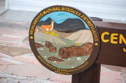 Monumento Natural Bosques Petrificados