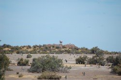 Pingüinos Magallánicos anidando, Punta Tombo