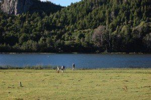Laguna Rosales, Parque Nacional Lanín, Patagonia