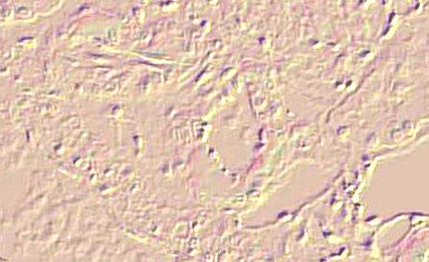 Viagra 20mg for sale